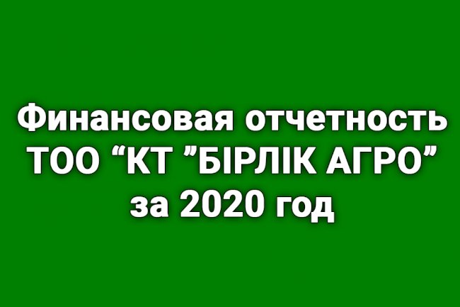 Финансовая отчетность ТОО ''КТ ''БІРЛІК АГРО'' за 2020 год