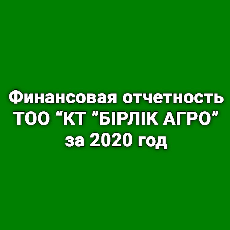 Финансовая отчетность ТОО ''КТ ''БІРЛІК АГРО'' за 2020 год